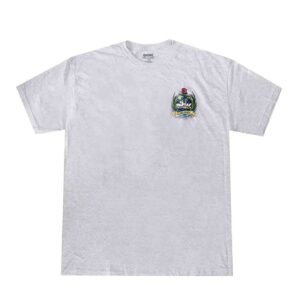 CAMISETA DGK GLOBAL TEE CINZA